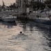 La curiosa estampa del joven, nadando en el puerto de Ibiza en la madrugada de hoy viernes 1 de noviembre. Imagen Noudiari.