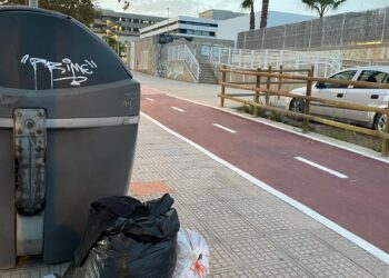 Nueva ubicación de uno de los contenedores. Foto: PSOE de Ibiza