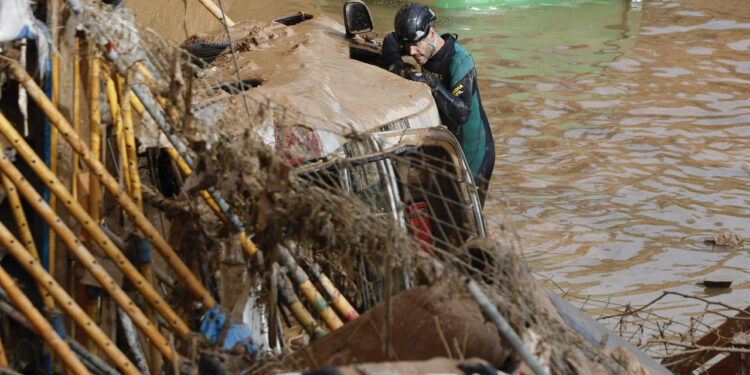 Expertos de la Guardia Civil buscan cuerpos sin vida entre los vehículos atrapados entre los cimientos de un edificio en construcción, este sábado, en Paiporta, Valencia. Foto: EFE/ Biel Aliño