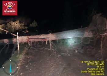 Imagen del árbol derribado facilitada por los Bombers d'Eivissa en sus redes.