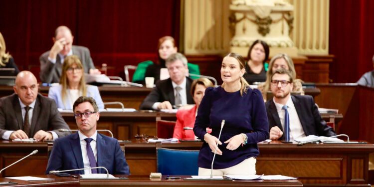 Vox parlament