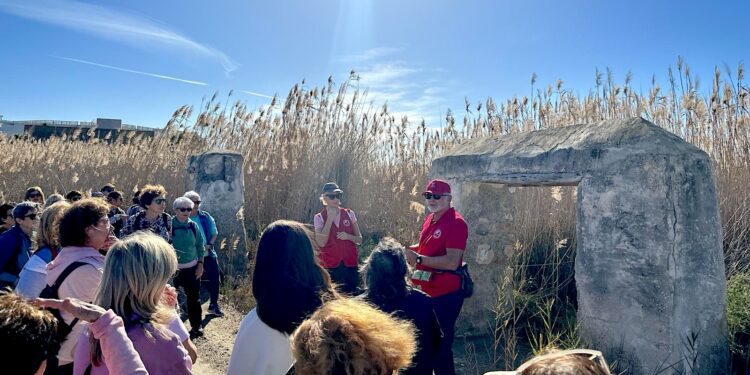 Imagen de una caminata anterior. Foto: IFCC