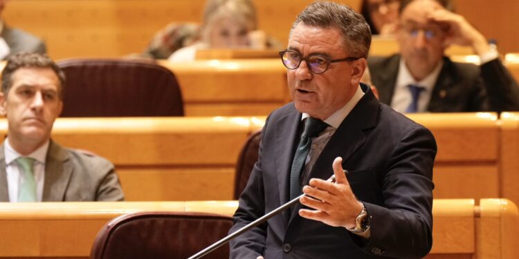 Miquel Jerez, en el Senado. Foto: Partido Popular