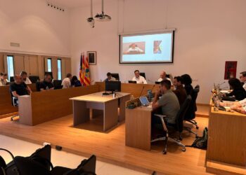 Sesión plenaria, celebrada en noviembre en el Consell de Formentera. Foto: Consell Insular de Formentera