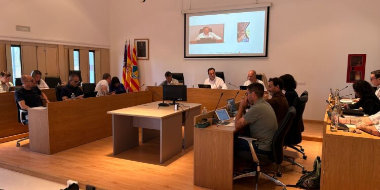 Sesión plenaria, celebrada en noviembre en el Consell de Formentera. Foto: Consell Insular de Formentera