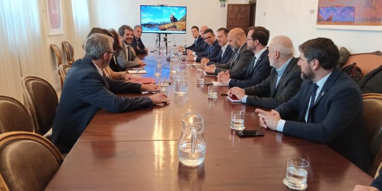 Un momento de la reunión. Foto: Ayuntamiento de Ibiza