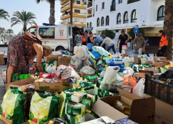 Material recogido. Fotos: Ayuntamiento de Santa Eulària