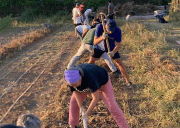 Imagen de una de las actividades realizadas en el huerto comunitario de Sa Llavanera: FOTO: @hortsallavanera
