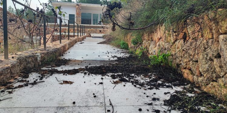 Estado del tanatorio municipal de Santa Eulària. Fotos: PSOE de Santa Eulària