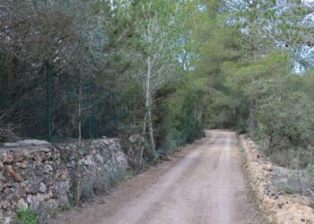Caminos rurales de Sant Antoni. Foto: Ayuntamiento de Sant Antoni