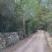 Caminos rurales de Sant Antoni. Foto: Ayuntamiento de Sant Antoni