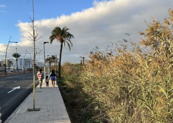 Nueva acera en la avenida de Santa Eulària. Fotos Noudiari