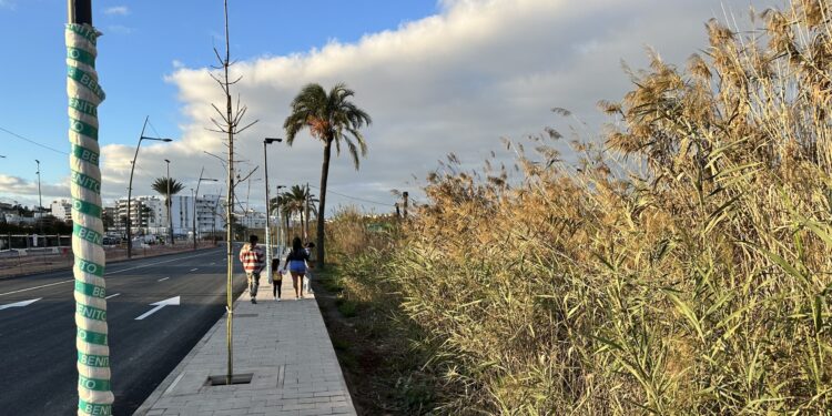 Nueva acera en la avenida de Santa Eulària. Fotos Noudiari