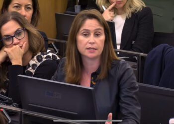 La diputada socialista Milena Herrera. Foto: FSE-PSOE