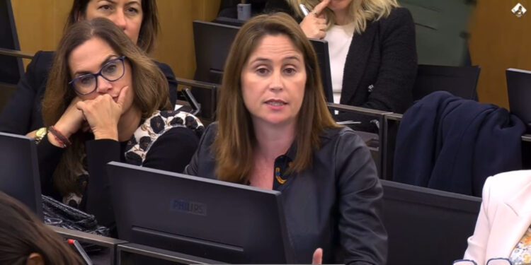 La diputada socialista Milena Herrera. Foto: FSE-PSOE