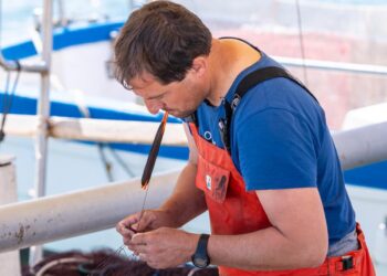 Toni Tur, Patró Major de la Confraria de Pescadors d'Eivissa