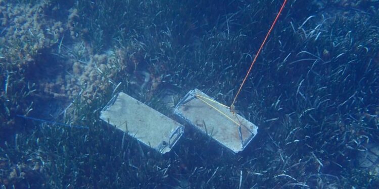 Dos de las baterías en el fondo del mar en la costa de Ibiza. Fotos Guardia Civil / Policía local de Ibiza