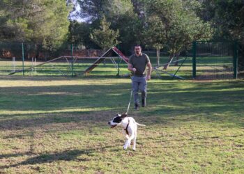 El nuevo educador canino con uno de los perros. Foto: Ayuntamiento de Sant Antoni