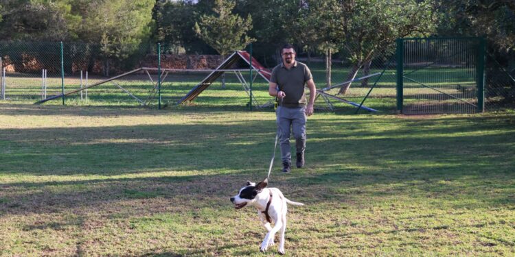 El nuevo educador canino con uno de los perros. Foto: Ayuntamiento de Sant Antoni