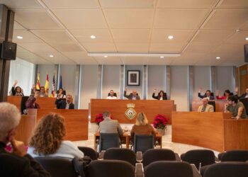 Imagen de la sesión plenaria celebrada hoy. Foto: Consell de Ibiza