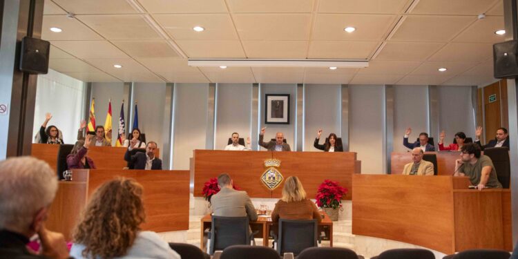 Imagen de la sesión plenaria celebrada hoy. Foto: Consell de Ibiza