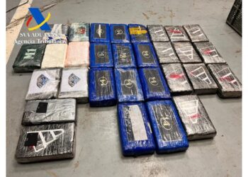 Imagen de la droga hallada en esta operación de la Agencia Tributaria.
