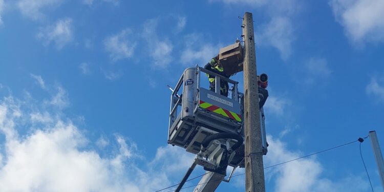 Imagen de los bomberos rescatando a la gaviota, hoy. Foto: X Bomberos de Ibiza