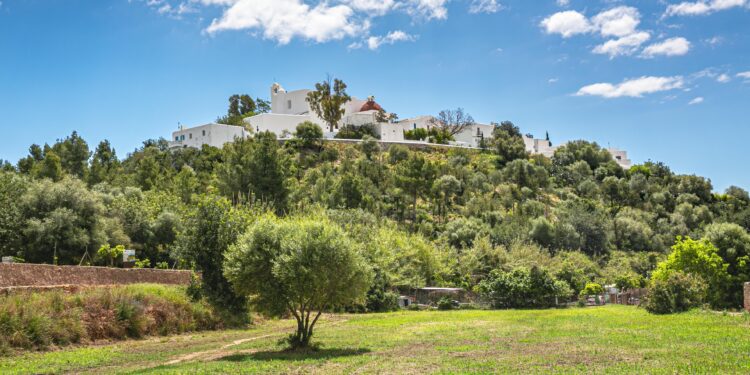 Vista del Puig de Missa de Santa Eulària.