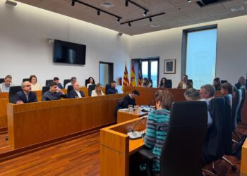 El pleno de Ibiza, durante la sesión de esta mañana.  Foto: Ayto Ibiza