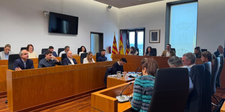 El pleno de Ibiza, durante la sesión de esta mañana.  Foto: Ayto Ibiza