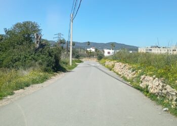 Una imagen del Camí de ses Pitreres.