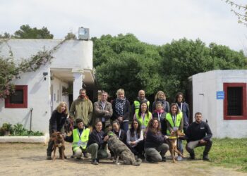 Voluntariado del Centro de Protección de Animales Domésticos (CEPAD).