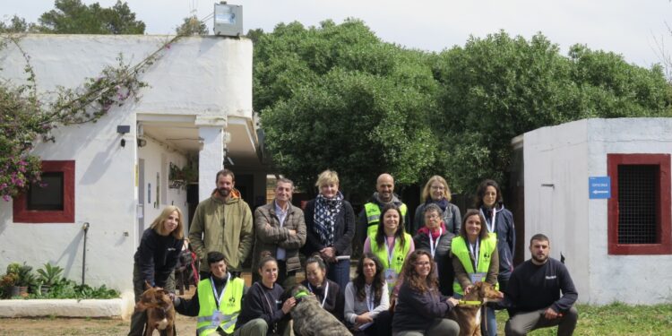 Voluntariado del Centro de Protección de Animales Domésticos (CEPAD).