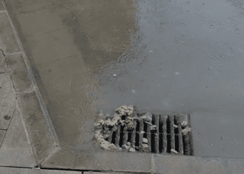 Excrementos y otros restos de alcantarilla en Isidor Macabich. Imágenes cedidas a Noudiari