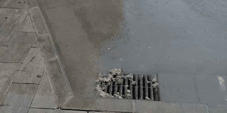 Excrementos y otros restos de alcantarilla en Isidor Macabich. Imágenes cedidas a Noudiari