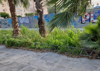 Zona ajardinada descuidada en el bulevar Abel Matutes. Foto remitida por el PSOE