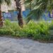 Zona ajardinada descuidada en el bulevar Abel Matutes. Foto remitida por el PSOE