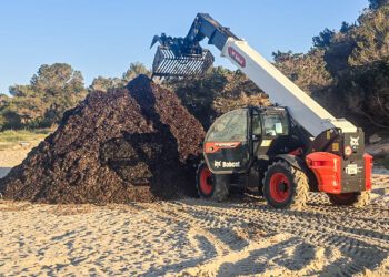 Retirada de posidonia de Cala Saona.