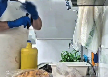La organización lavaba carne caducada con lejía para disimular el olor y el deterioro microbiológico.