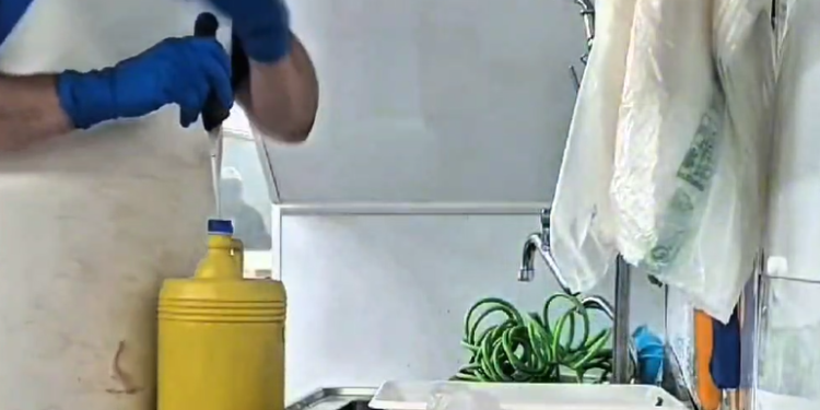 La organización lavaba carne caducada con lejía para disimular el olor y el deterioro microbiológico.