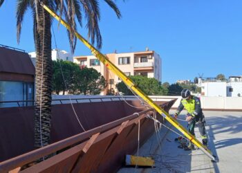 Los bomberos en el operativo de rescate del gato en la UIB, encaramado en una palmera ubicada en una jardinera de difícil acceso. Foto Bombers d'Eivissa
