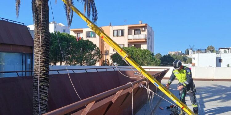 Los bomberos en el operativo de rescate del gato en la UIB, encaramado en una palmera ubicada en una jardinera de difícil acceso. Foto Bombers d'Eivissa
