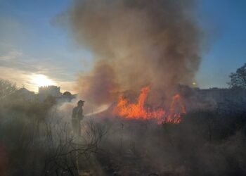 Bomberos del Parque Insular trabajando en la extinción del incendio en la entrada de Sant Antoni. Fotos Bombers d'Eivissa