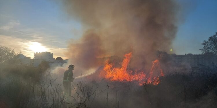 Bomberos del Parque Insular trabajando en la extinción del incendio en la entrada de Sant Antoni. Fotos Bombers d'Eivissa