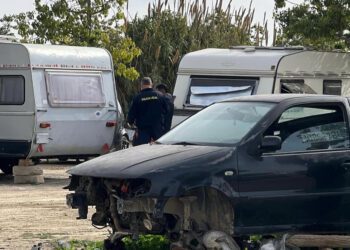Los perros se encontraban en el interior de un vehículo situado en el antiguo campamento de infraviviendas de Es Gorg. / AE