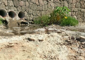 Denuncian un nuevo vertido de aguas fecales en Caló des Moro.