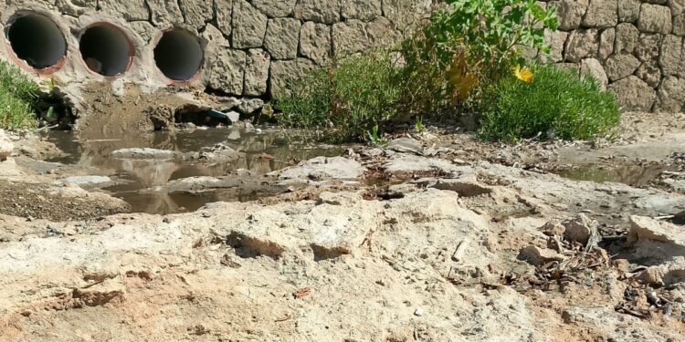 Denuncian un nuevo vertido de aguas fecales en Caló des Moro.