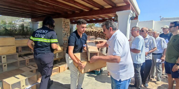 Un instante de la entrega de trampas llevada a cabo hoy en Ibiza.