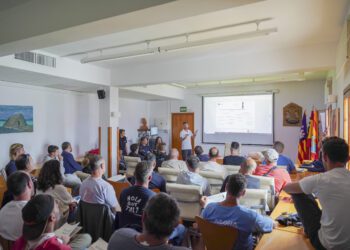 Un momento del curso, impulsado por el Consell Insular.