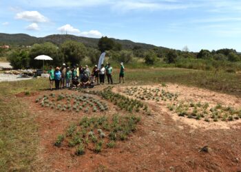 Imagen del jardín de mariposas plantado junto a los usuarios e usuarias de ASPANADIF. Foto: Carmen Pi